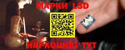 прущие грибы Пенза