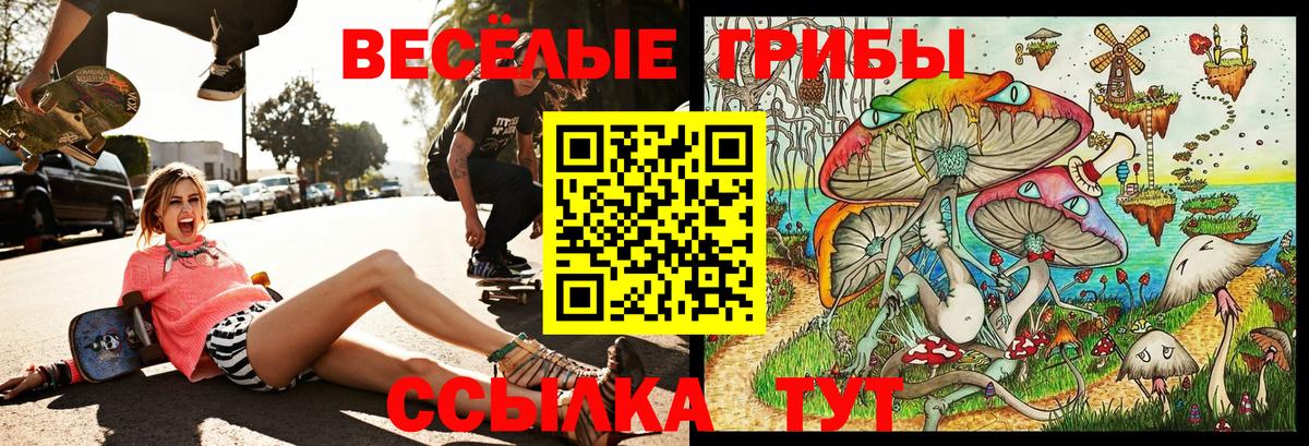Псилоцибиновые грибы Psilocybine cubensis  продажа наркотиков  Вход с VPN  Полевской  Псилоцибиновые грибы Psilocybine cubensis 